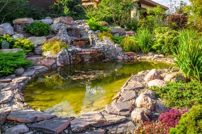 Cost of Fish Pond Installation — Cost of Fish Pond Installation