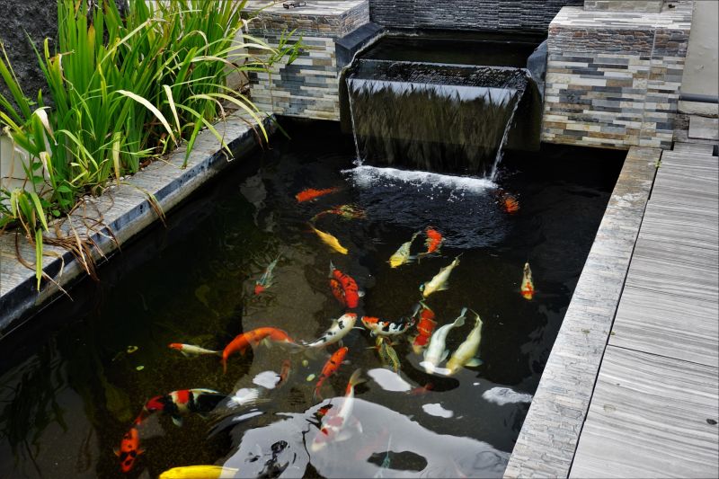 Fish Pond Installation
