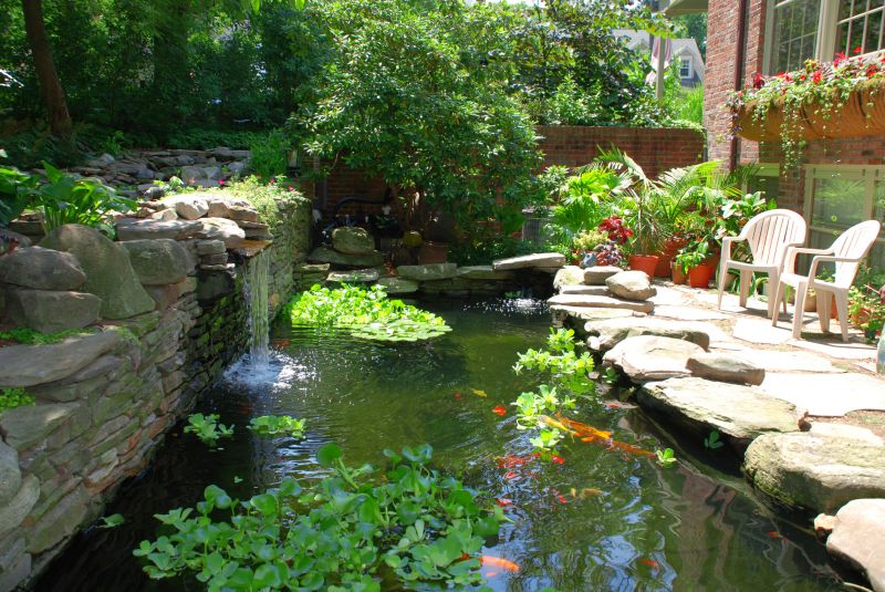 Fish Pond Installation