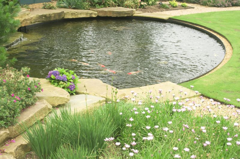 Fish Pond Installation