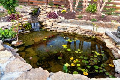 Fish Pond Installation