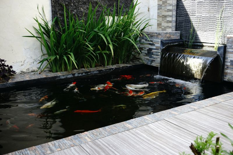 Fish Pond Installation