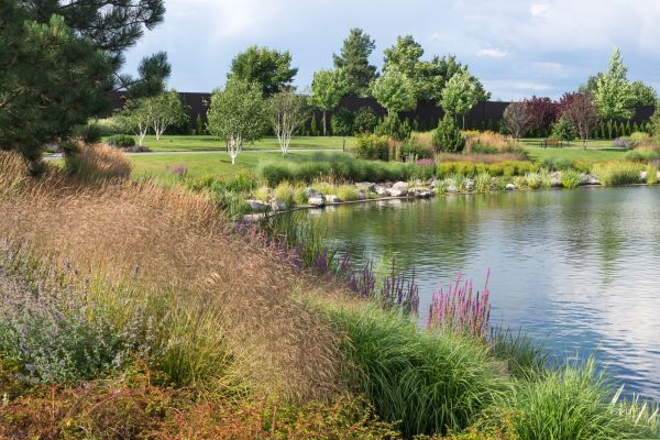 Pond Repair