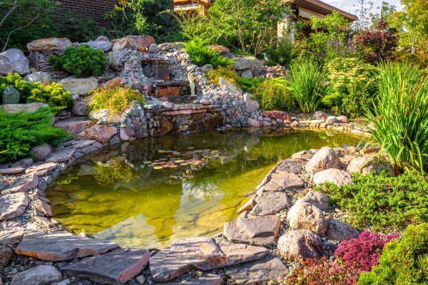 Garden Pond Service - Garden Pond Service El Paso, Texas
